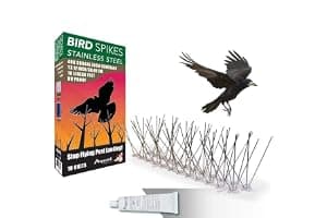 Amazon.com.au Best Sellers: The most popular items in Backyard Birding ...