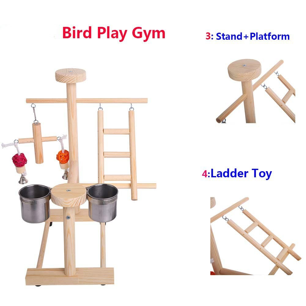 Parrot Playstand Perch Bird Play Stand Small Birds... – Grandado