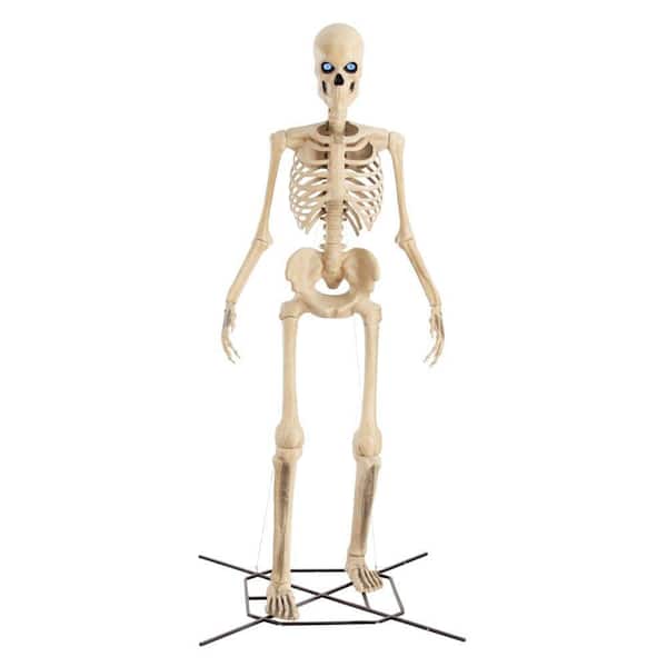 Skeleton - Halloween Animatronics and Giants - The Home Depot
