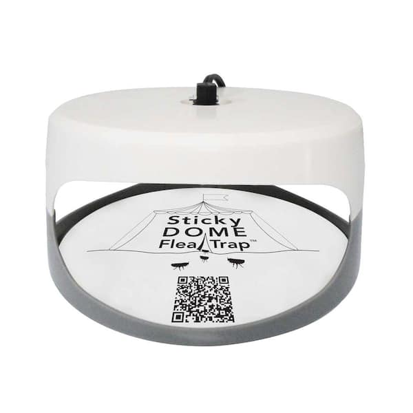 Reviews for Aspectek Sticky Dome Flea Trap | Pg 1 - The Home Depot