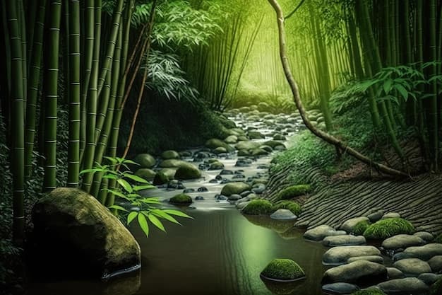 Peaceful bamboo forest with tranquil stream perfect for meditation ...