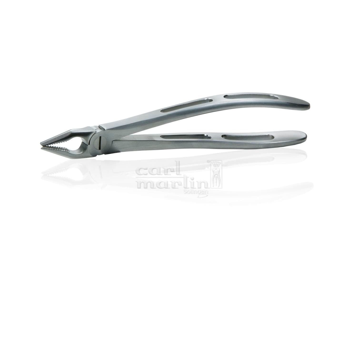 Canine teeth dental extraction forceps - GX1 - Carl Martin GmbH - for ...