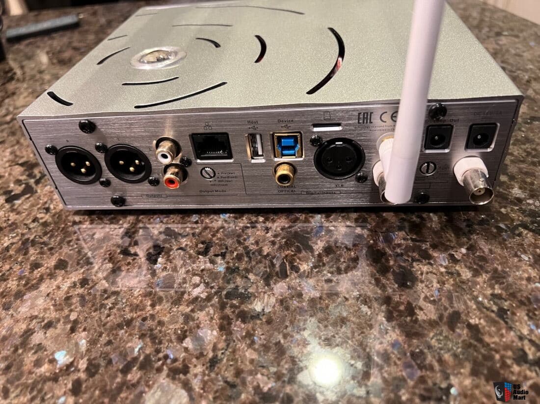 iFi Pro iDSD DAC / Streamer / Headphone Amp Photo #4682408 - US Audio Mart