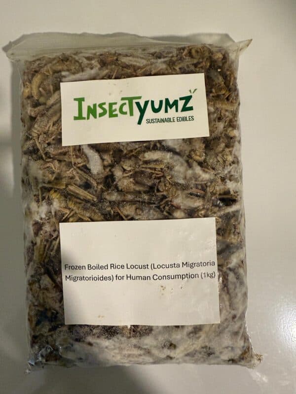 Livefood UK Frozen Locust Mixed Sizes Pack