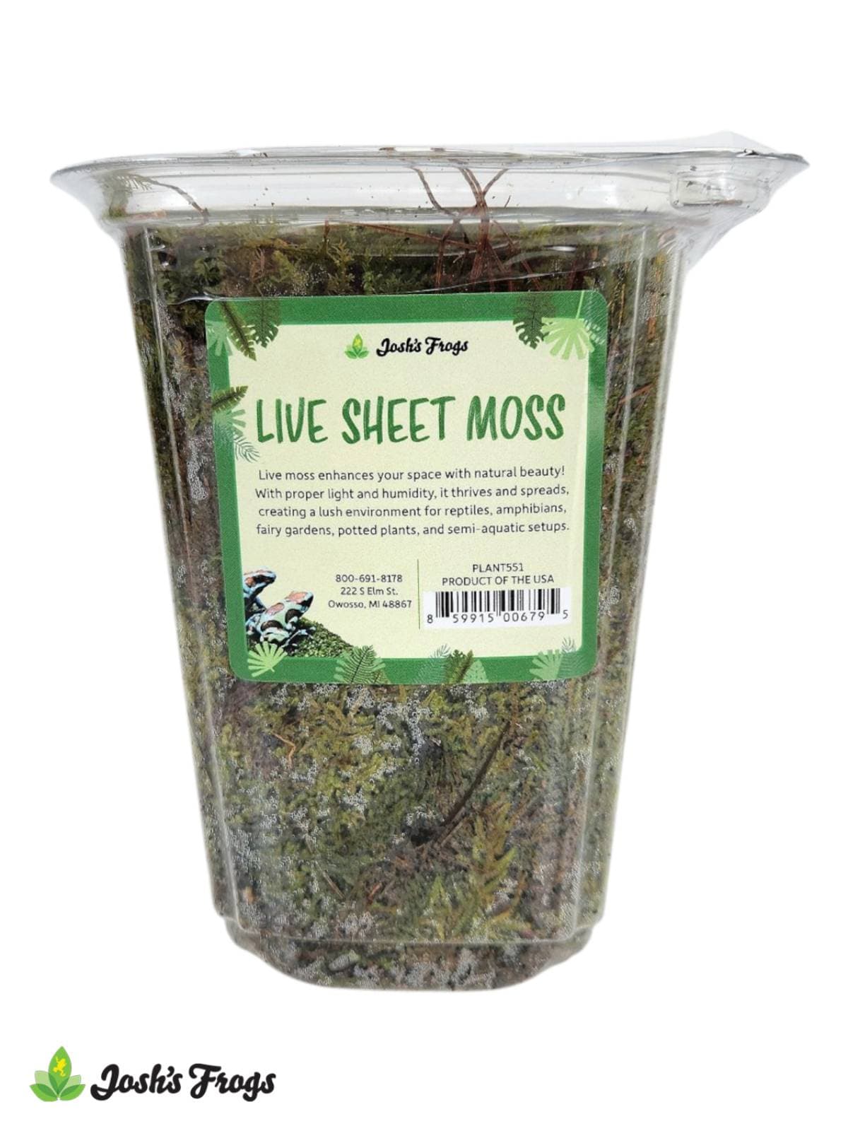 Josh s Frogs Sheet Moss