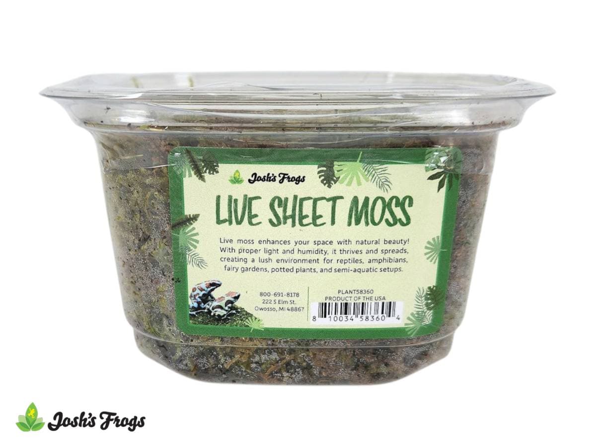 Moss
