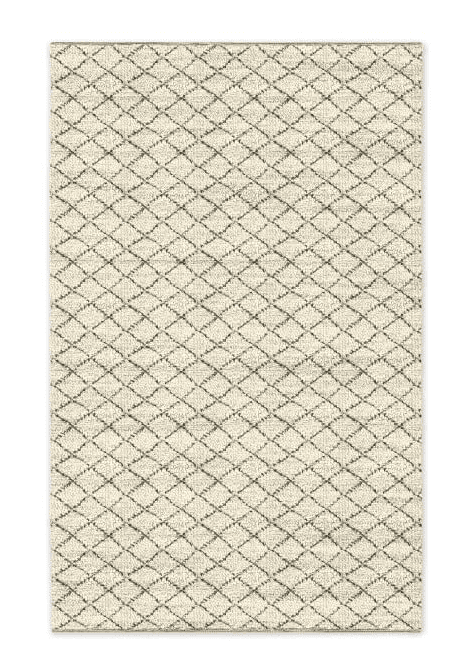 West Elm Watercolor Trellis Wool Rug