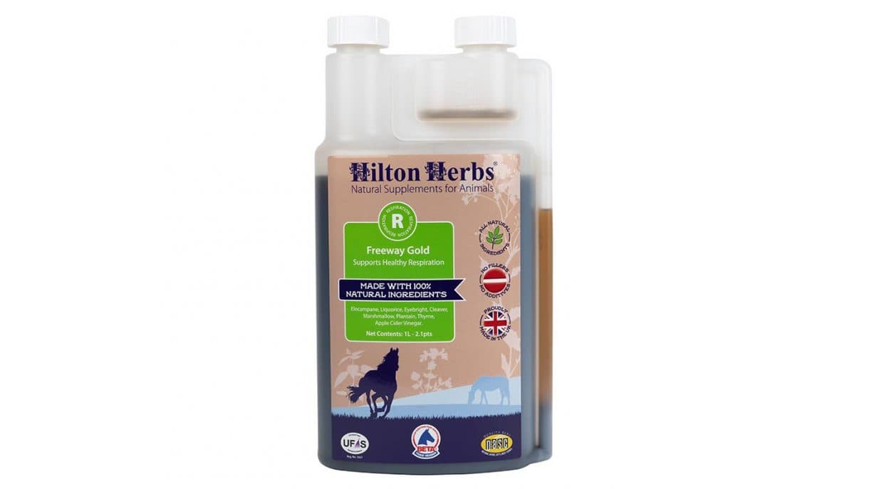 Best respiratory supplements for horses: what’s on the market?