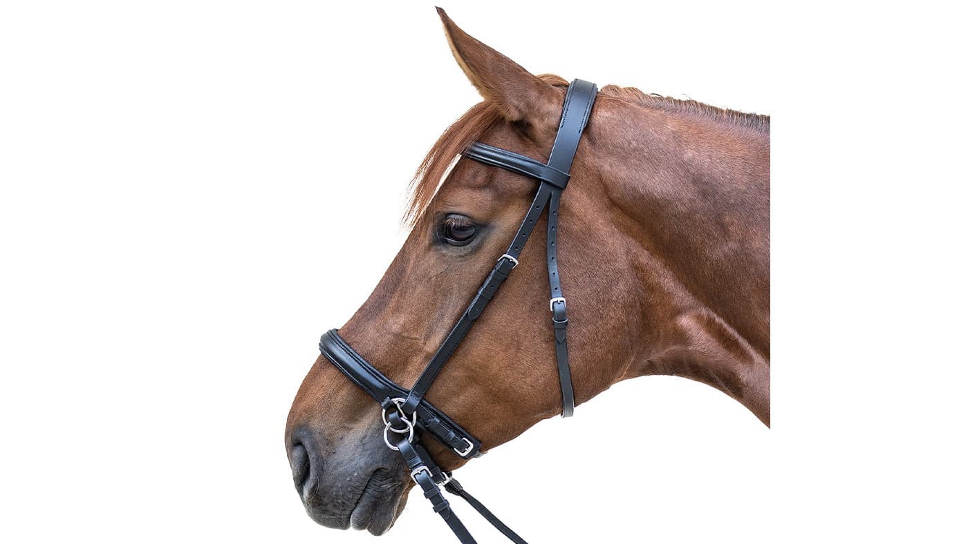 Best bitless bridles for starting your bitless journey | Horse & Hound