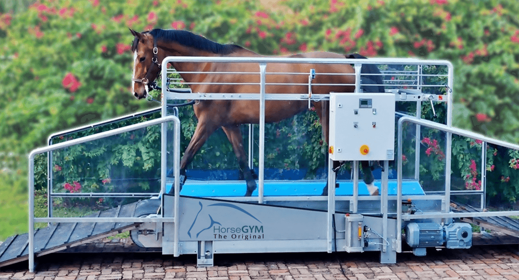 HorseGYM Treadmill - Liberty Horse Exerciser