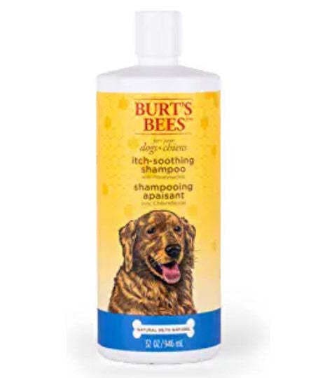 Burt's Bees for Dogs Natural Itch Soothing Shampoo with Honeysuckle ...