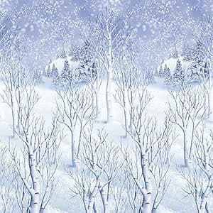 Amazon.com: Amscan 674001 Christmas Decoration Winter Wonderland Wall ...