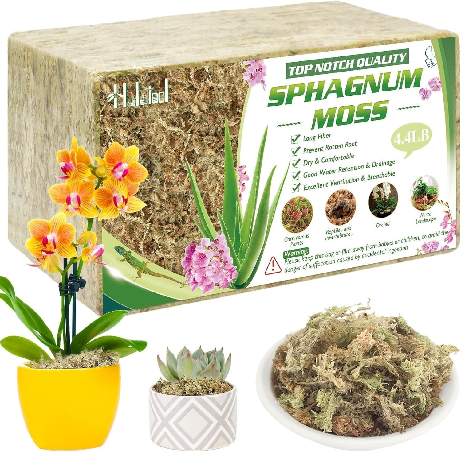 Amazon.com : Halatool 4.4LBS Natural Sphagnum Moss for Plants 85 QT ...