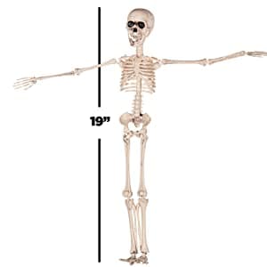 Prextex Life-Size Poseable Skeleton - Halloween Decorations - Full Size ...