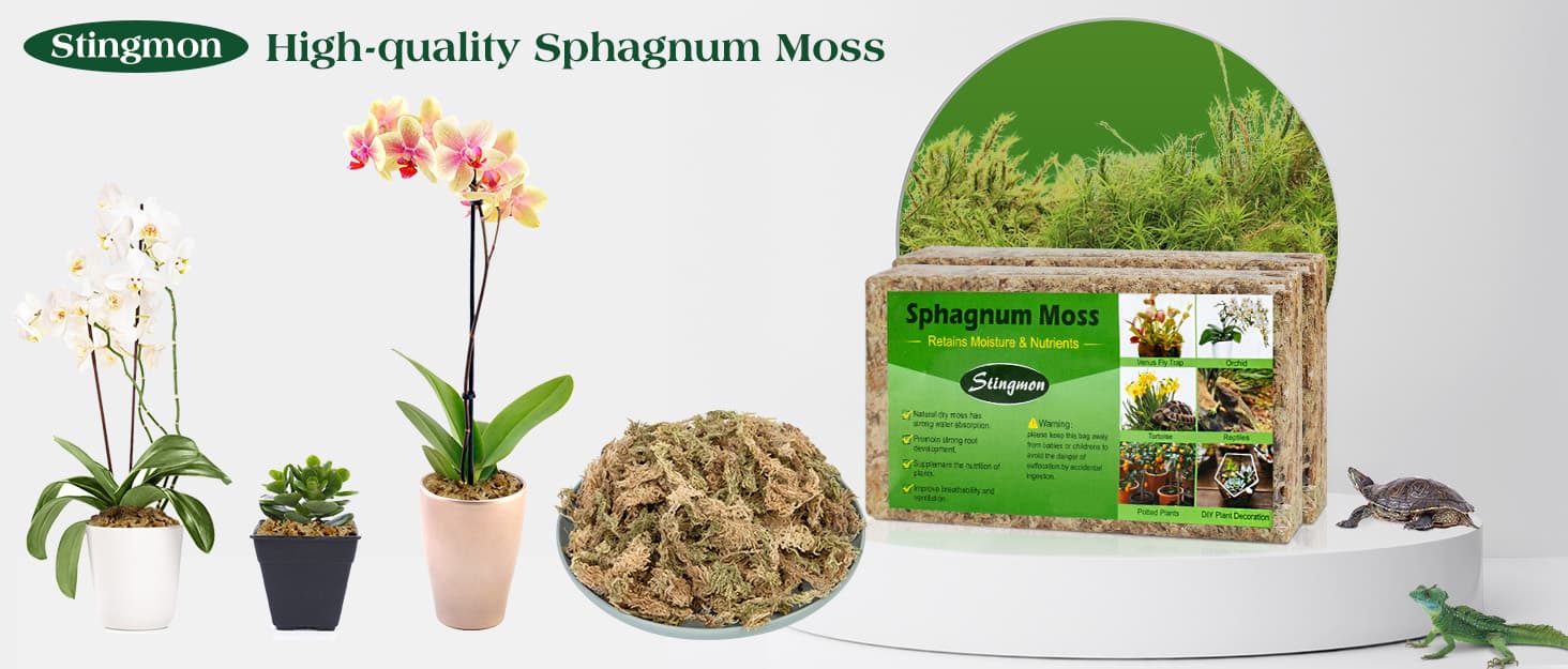 Amazon.com : 2.6LB Sphagnum Moss for Plants, Reptiles Sphagnum Moss for ...