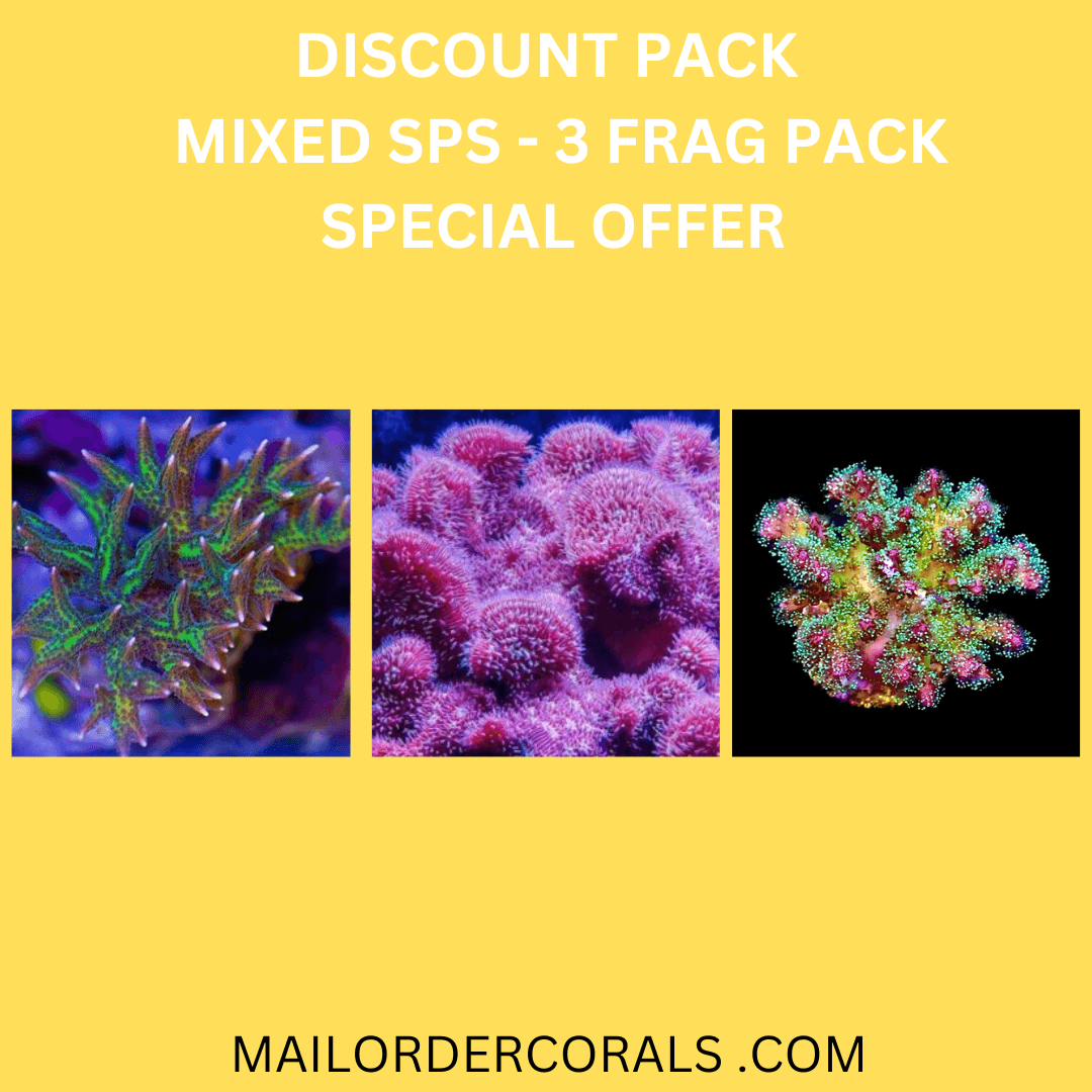 Tropical Marine Centre Premium SPS Mixed Frag Pack - Best Picks & Reviews by InceptionAI