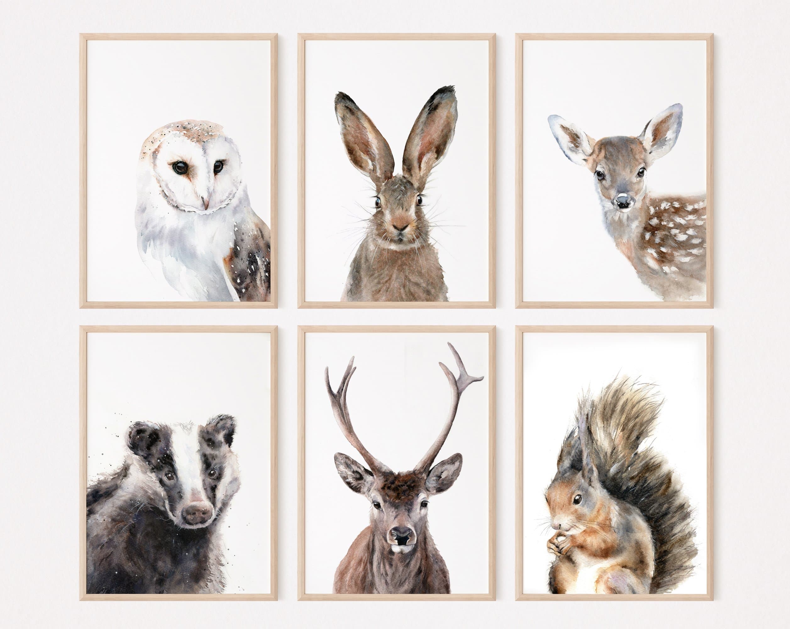 Choose from 6 Beautiful British Woodland Wildlife Prints in watercolour