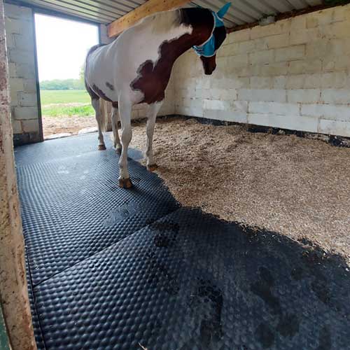 Mayo Mattress Stable Mat - Mayo Horse Comfort