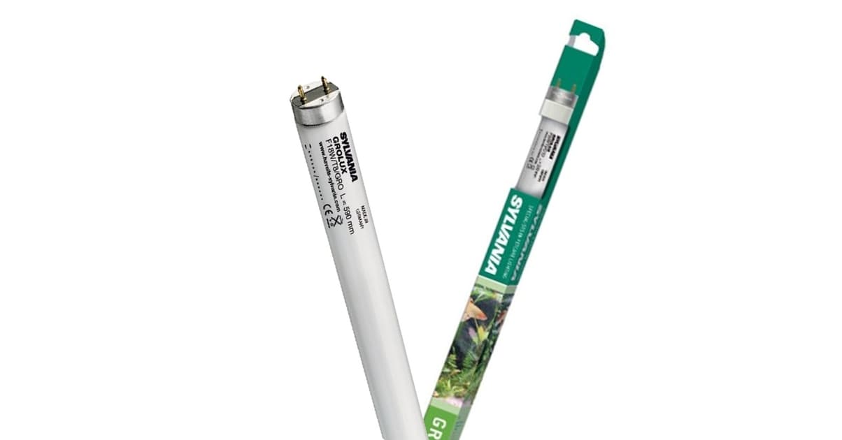 SYLVANIA Tubes T8 Grolux 18W 60 cm tube horticole pour l'éclairage de ...