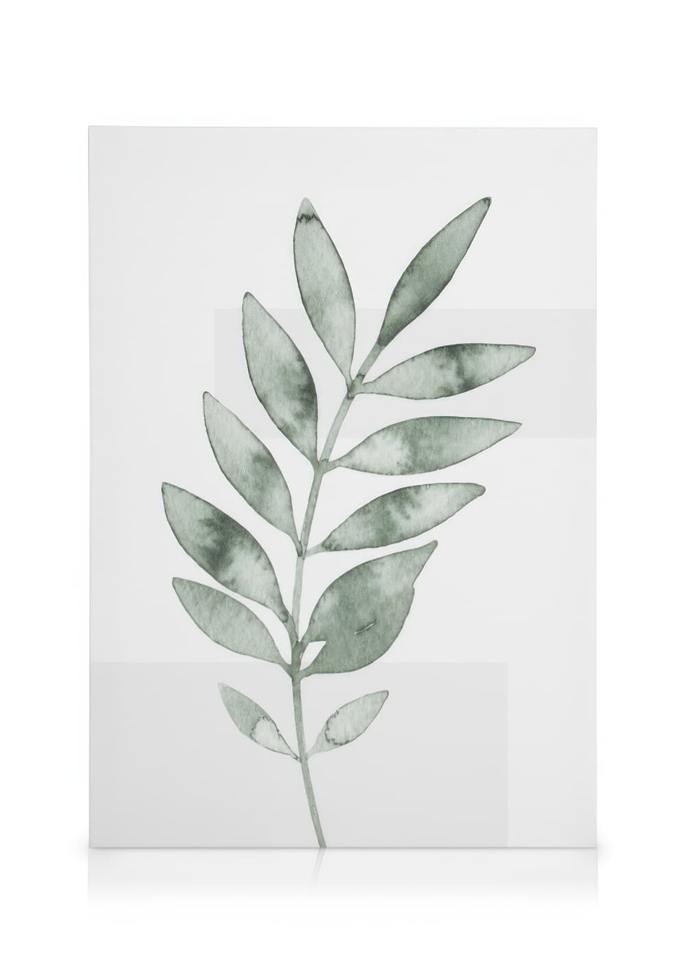 Watercolor Leaves No4 Canvas Print – Botanical Wall Art | Desenio