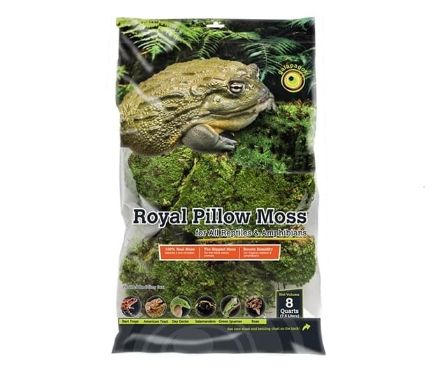 Galapagos Royal Pillow Moss, 8qt - The Exotic Shop
