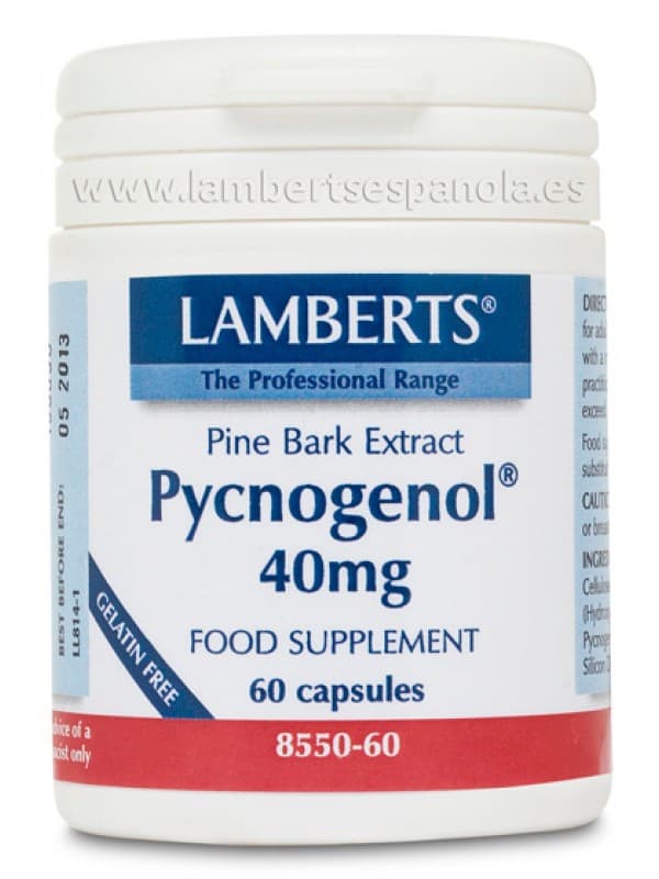 Extracto Corteza de Pino Pycnogenol 40mg 60 Capsulas - Lamberts ...