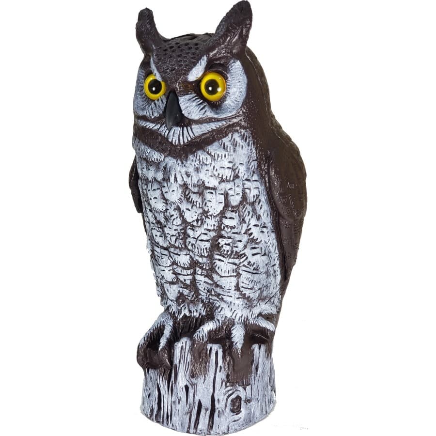 Dalen Great Horned Owl Scarecrow Bird Repellent Decoy at Lowes.com