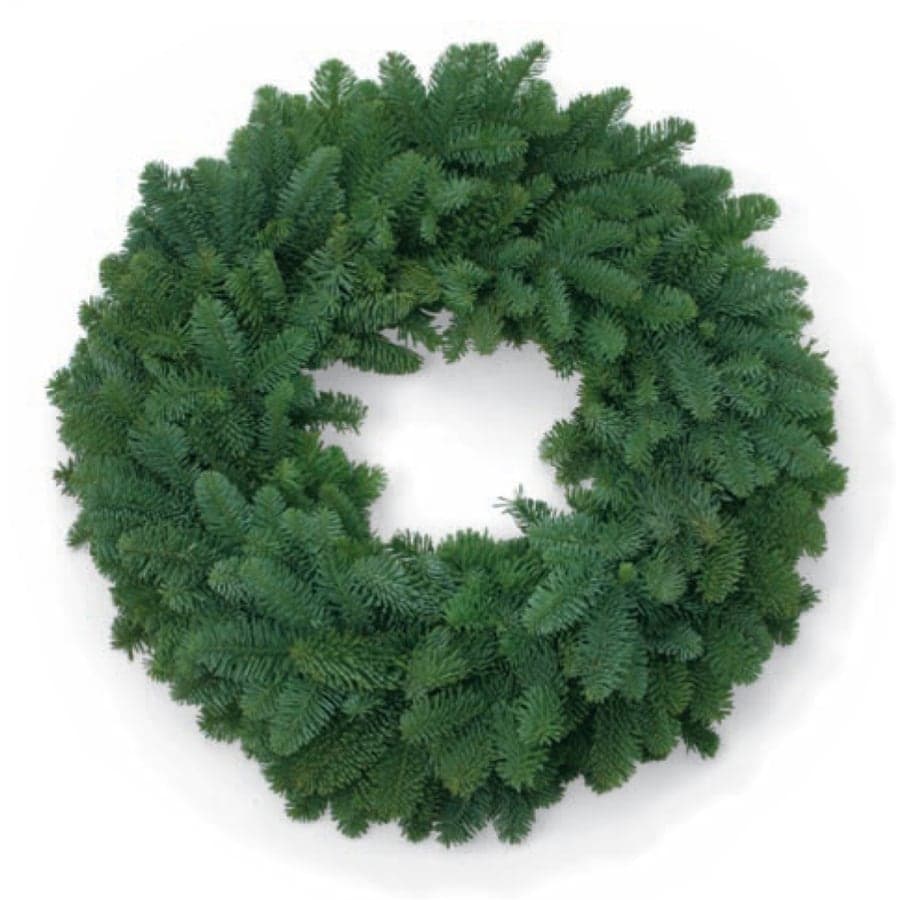 22-in Fresh Noble Fir Christmas Wreath at Lowes.com