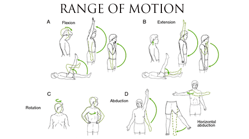 Range of Motion (ROM) - Mobile Physiotherapy Clinic