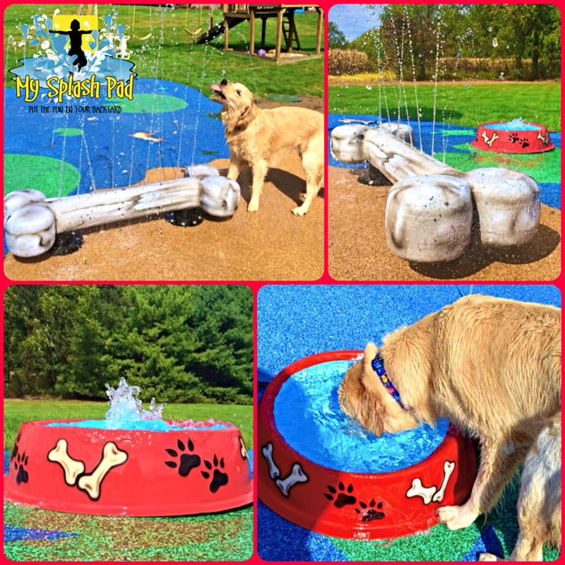 Dog Bowl Portable Water Play Features for Your Splash Pad