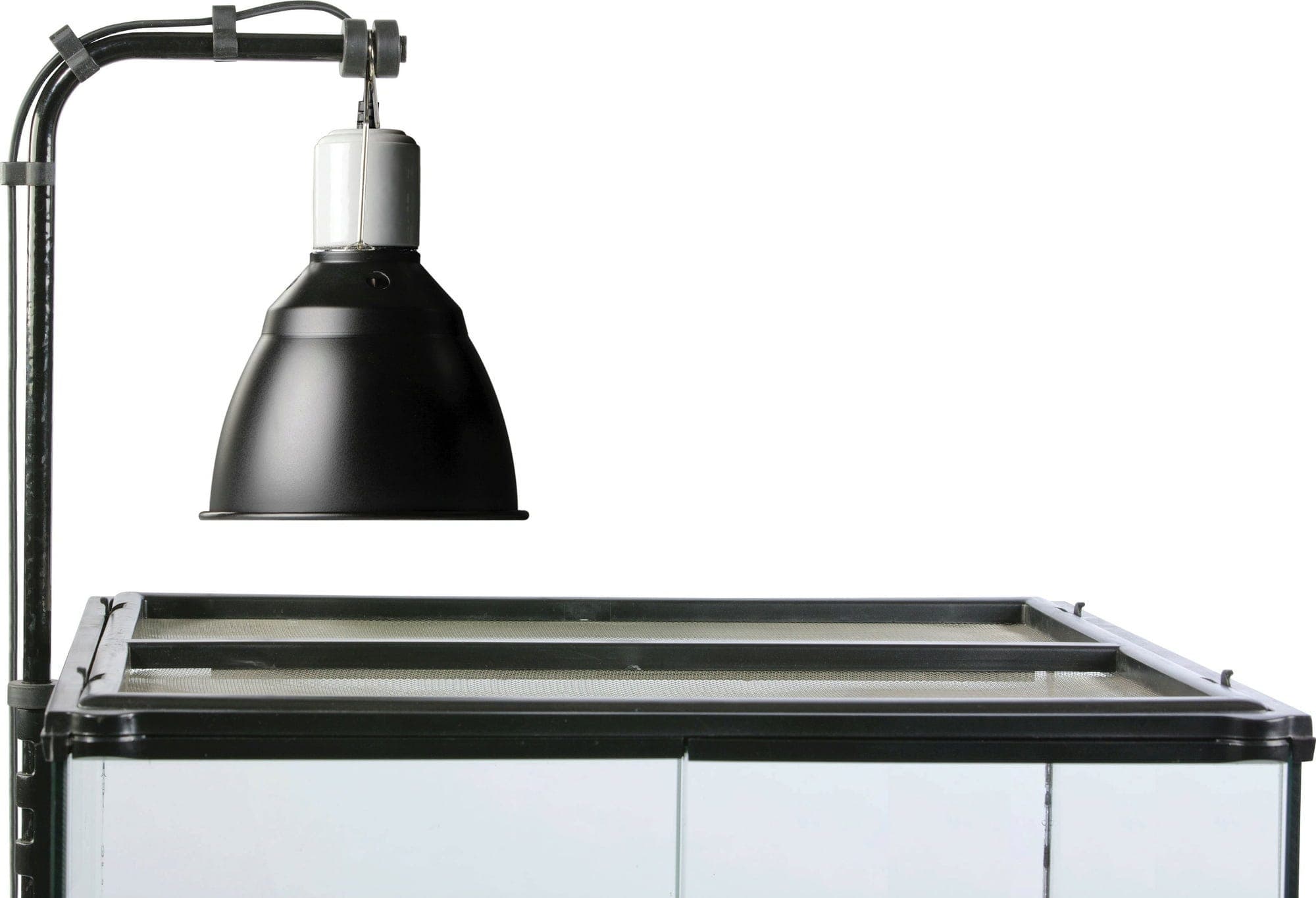 Exo Terra Light Dome UV Reflector Lamp - Olibetta Online Shop