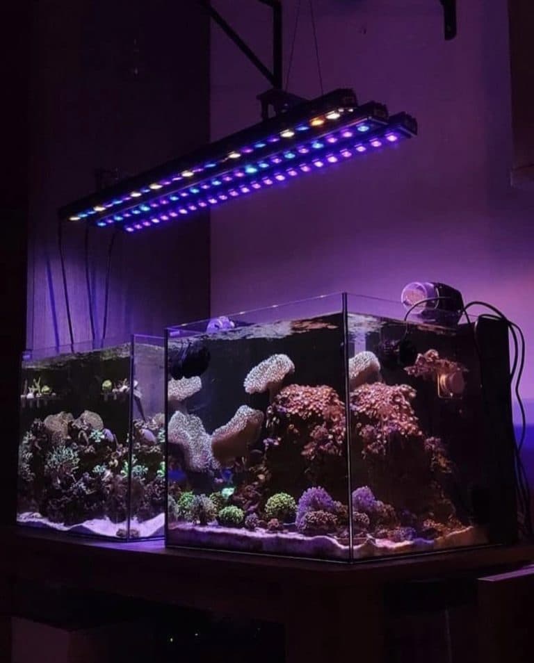 OR3 Reef Aquarium LED Bar •Orphek
