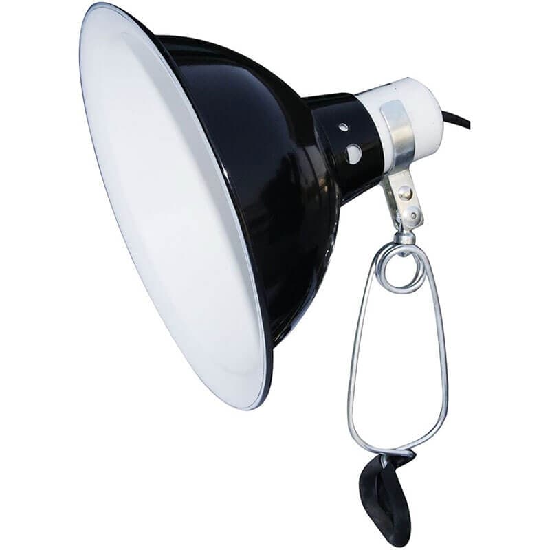 Komodo Dome Clamp Lamp Fixture 21cm Black - Pet Bliss Ireland