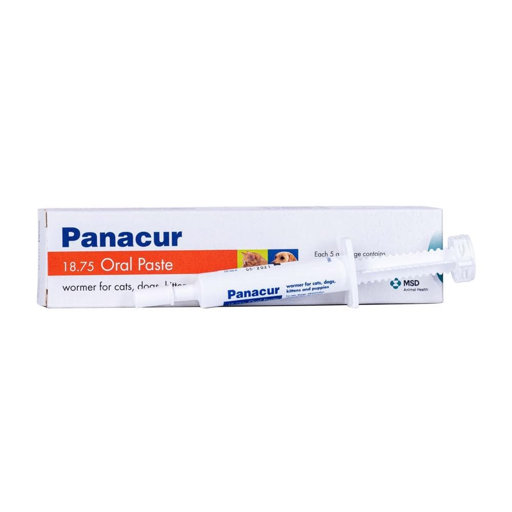 Buy Panacur Oral Paste For Dogs/Cats - Free Shipping