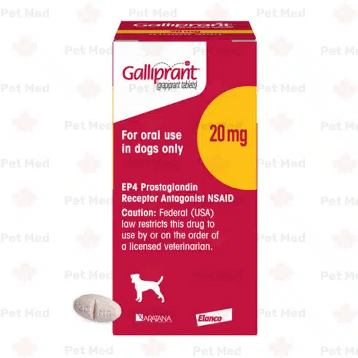 Galliprant (Grapiprant) for Dogs | Arthritis Pain Relief