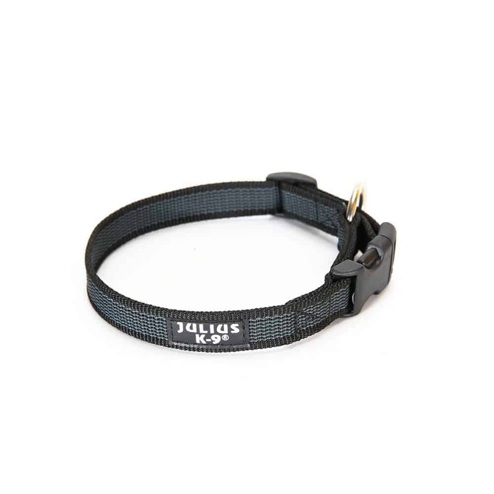 Julius K9 Collar |K9 Color & Gray Collar | Products | Petshop Direct