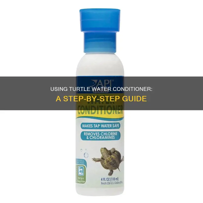 Using Turtle Water Conditioner: A Step-By-Step Guide | PetShun