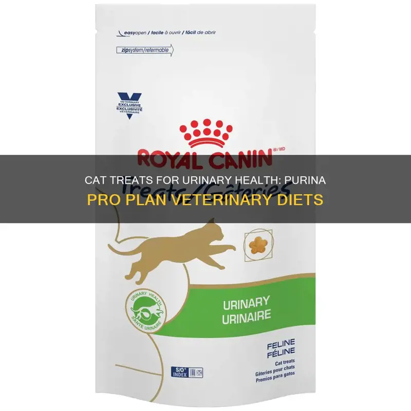 Cat Treats For Urinary Health: Purina Pro Plan Veterinary Diets | PetShun