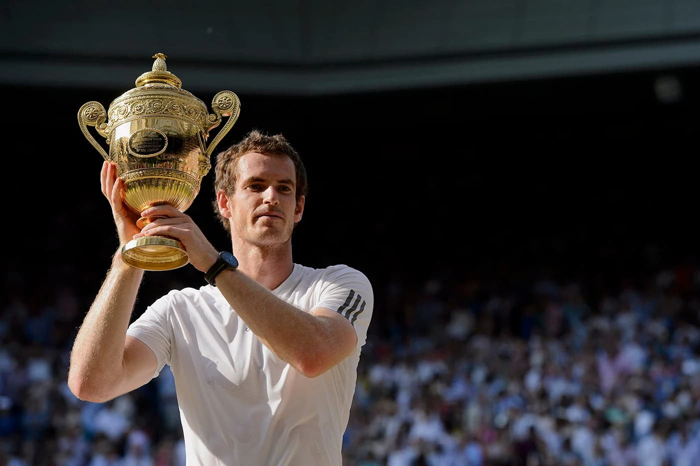 Andy Murray Wimbledon champion 2013 - The Championships, Wimbledon ...
