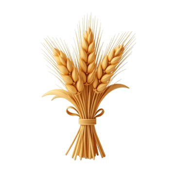 Harvest Wheat Sheaf PNG Transparent Images Free Download | Vector Files ...