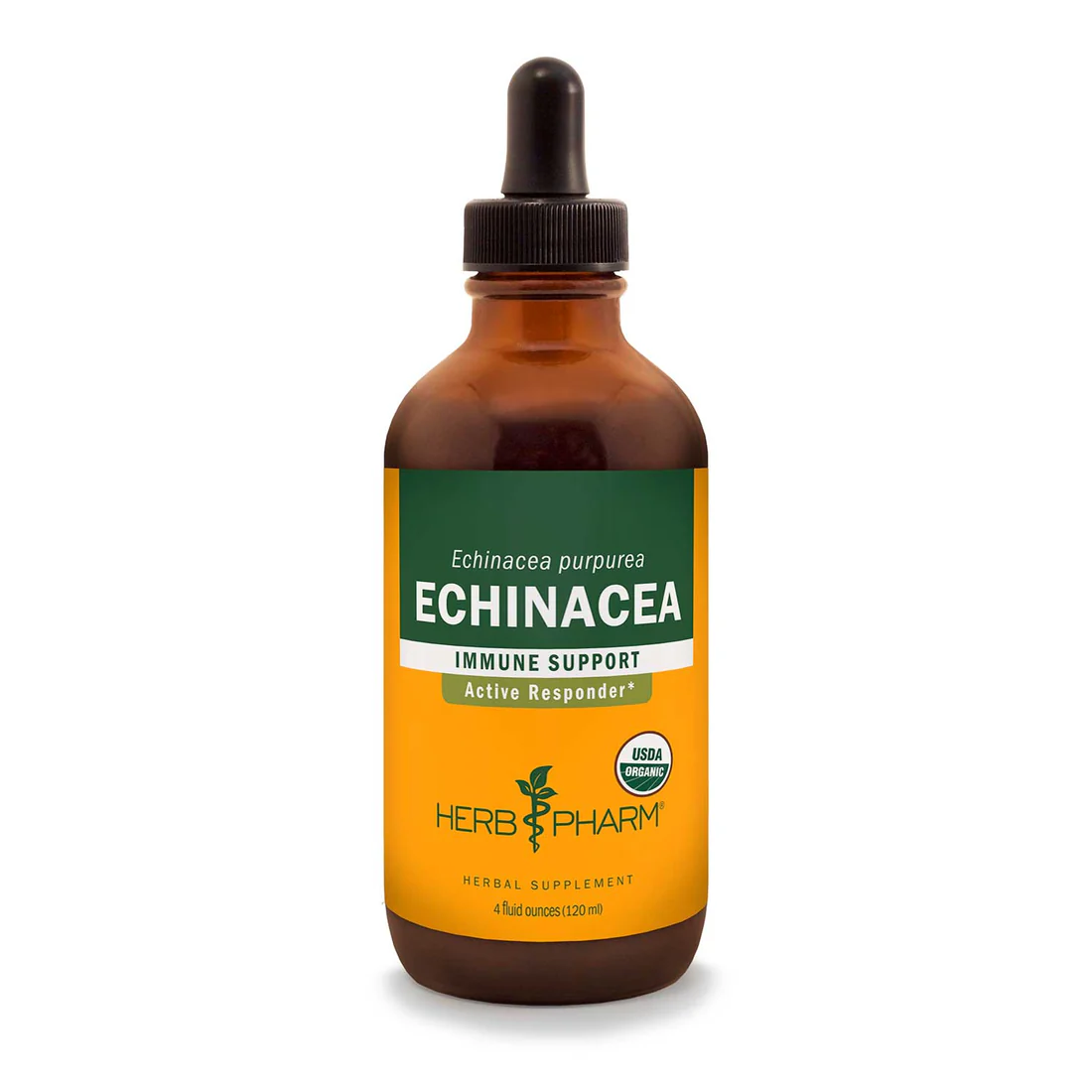 Echinacea Extract - Echinacea purpurea