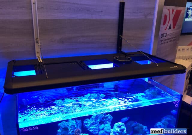 Tag: T5 LED hybrid | Reef Builders | The Reef and Saltwater Aquarium Blog