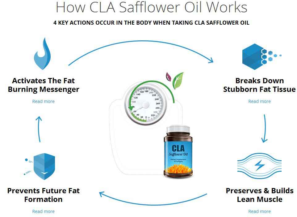 CLA Safflower Oil Review 2020 - Full Breakdown: Does It Really Work?