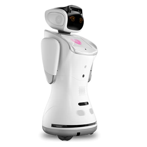 Sanbot Elf