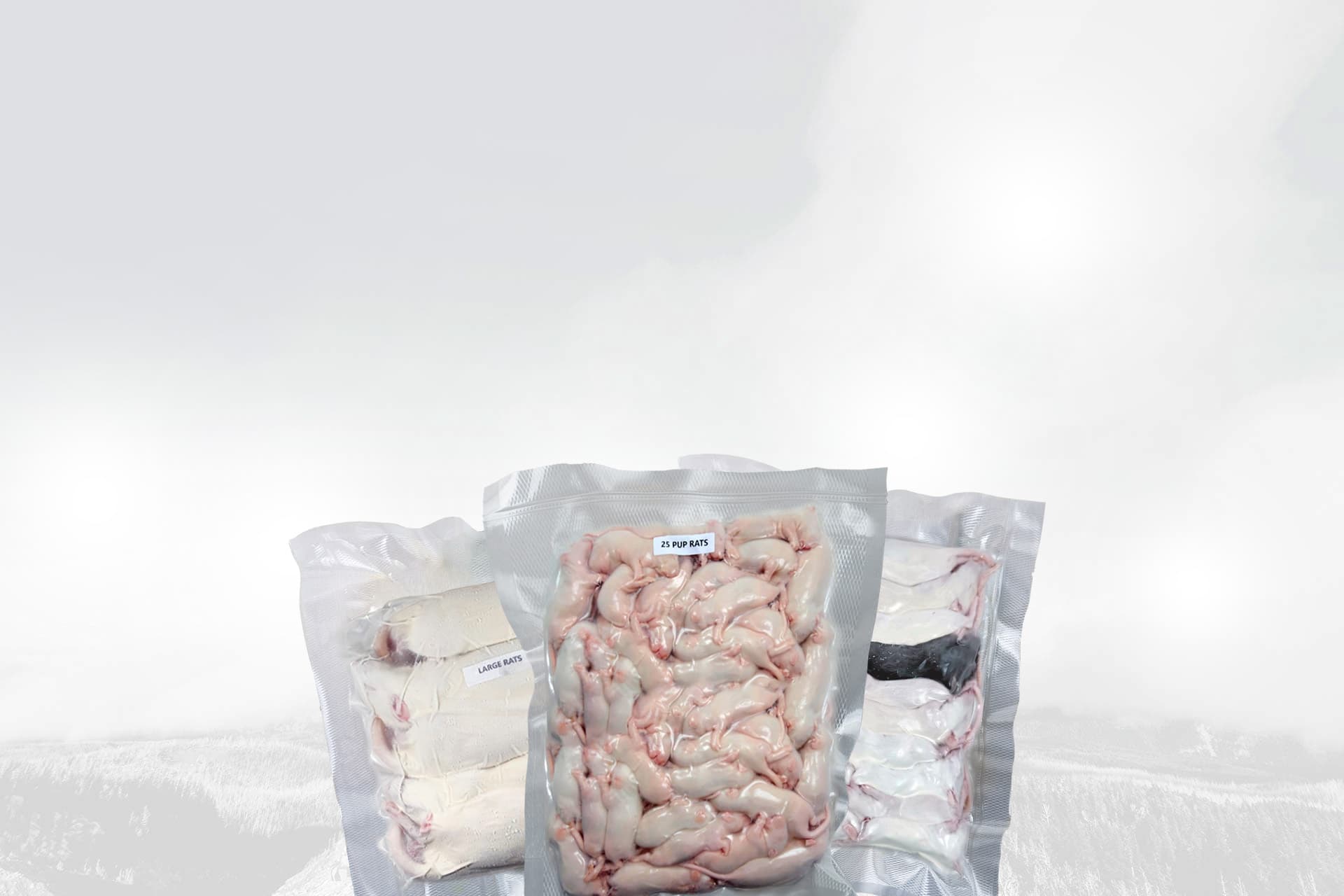 Rodent King | Canada - Premium Frozen Feeder Mice and Rats