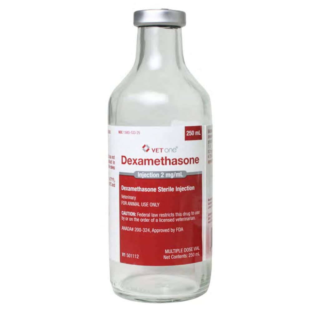 Dexamethasone Injection Solution for Veterinary Use - Best Picks & Reviews by InceptionAI