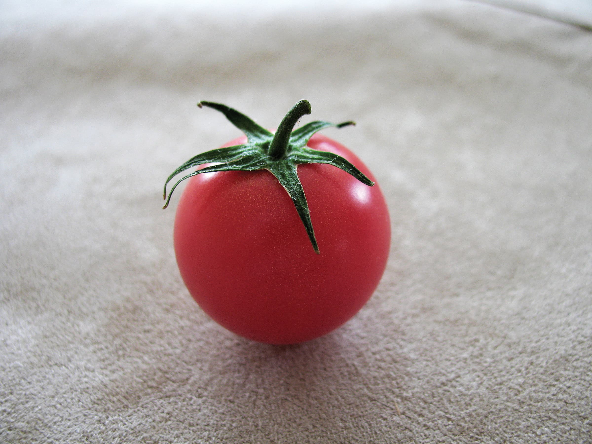 Sweet Treats - Sakata Wholesale Vegetable Seed