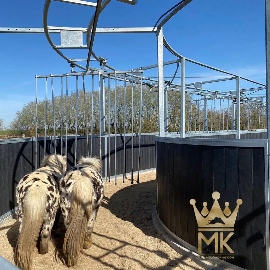 Rail-gliding Horse Walker Mk Molenkoning - Buy Rail-gliding Rail Walker ...