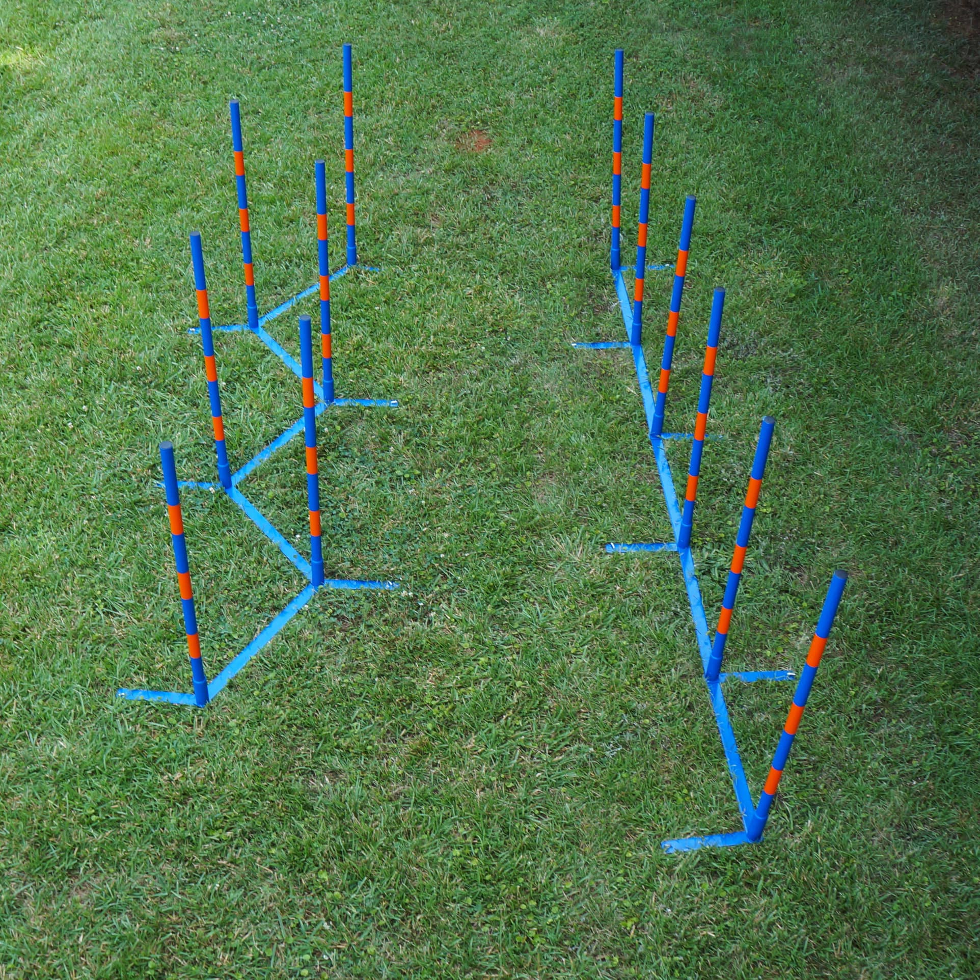 Lord Anson Dog Agility Weave Poles - Competition Grade Adjustable ...
