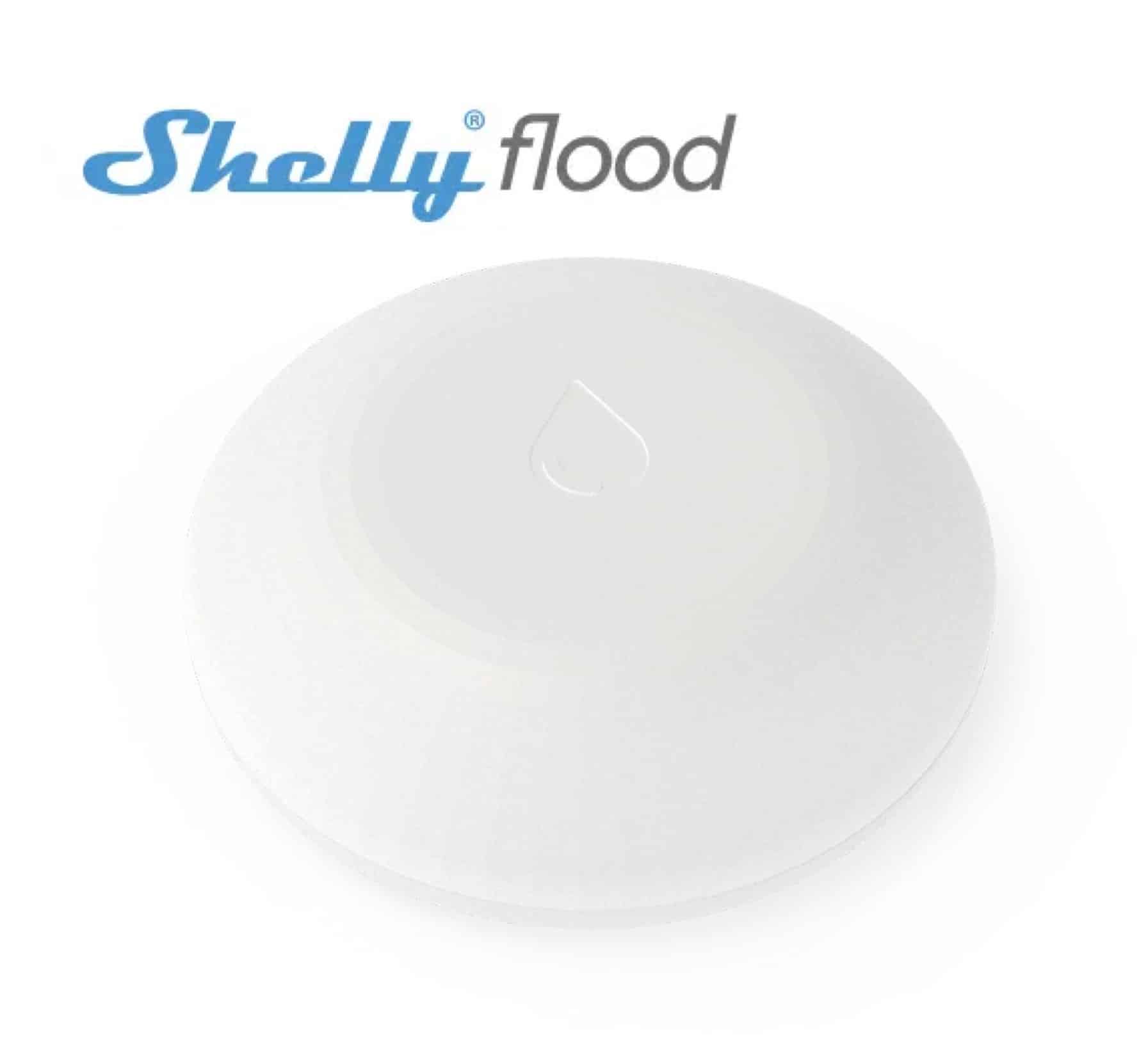 Shelly Flood - shelly.lv